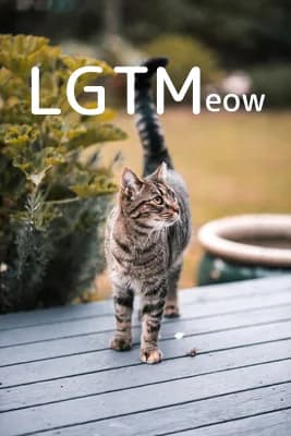 LGTM image