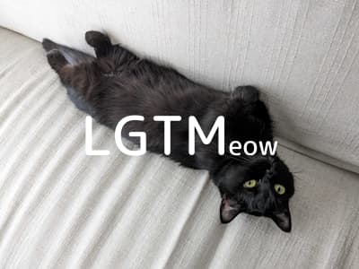 lgtm-cat-image