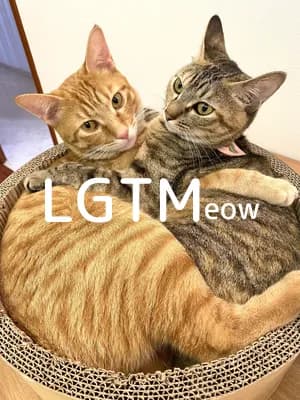LGTM image
