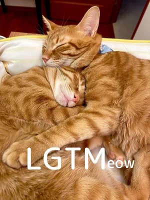 LGTM image
