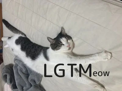 lgtm-cat-image