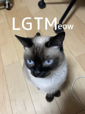 LGTM image