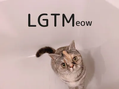 LGTM image