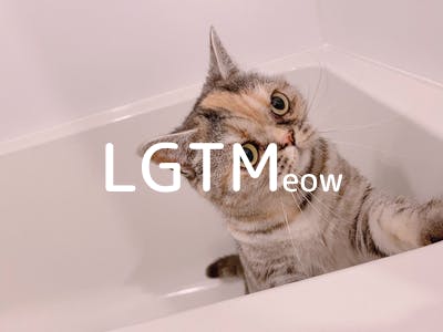 LGTM image