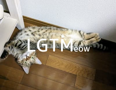 LGTM image