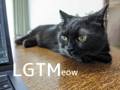 LGTM image