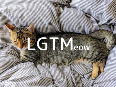 lgtm-cat-image
