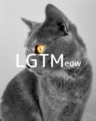LGTM image