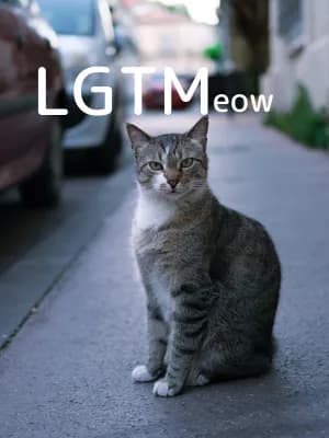 LGTM image
