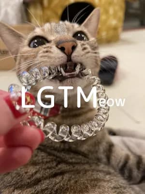 LGTM image