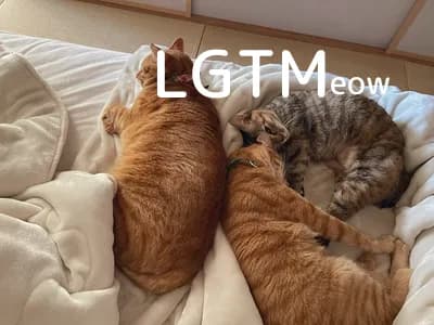 LGTM image