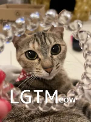 LGTM image