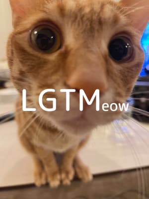 LGTM image