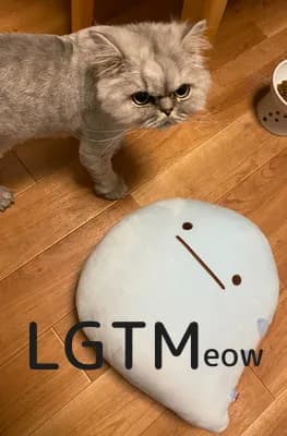 LGTM image