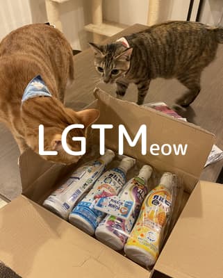 lgtm-cat-image