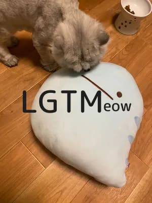 LGTM image