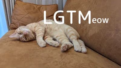 LGTM image