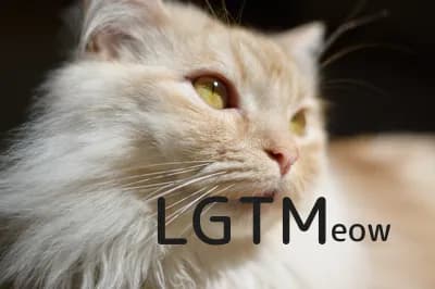 LGTM image