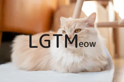 LGTM image