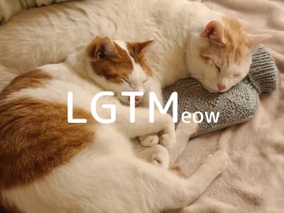 LGTM image