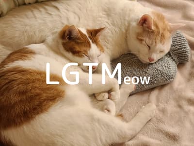 lgtm-cat-image