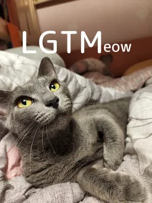 LGTM image