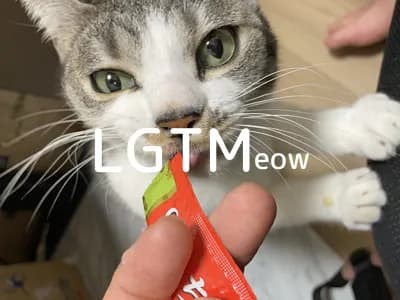 LGTM image