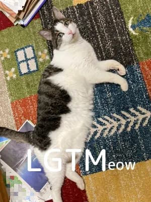 LGTM image