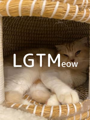 LGTM image