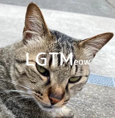 LGTM image