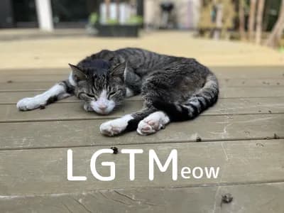 LGTM image