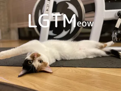 LGTM image