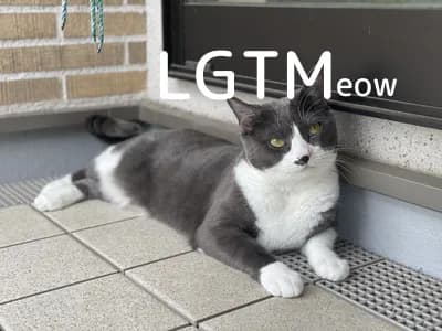 LGTM image