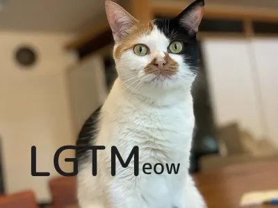 LGTM image