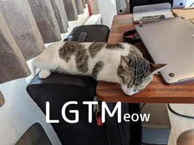 LGTM image