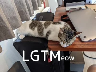 LGTM image