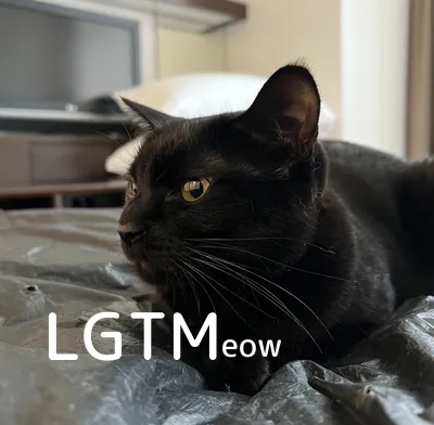 LGTM image