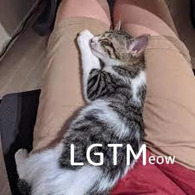 LGTM image