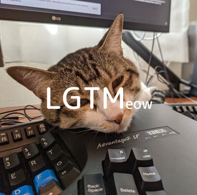 LGTM image
