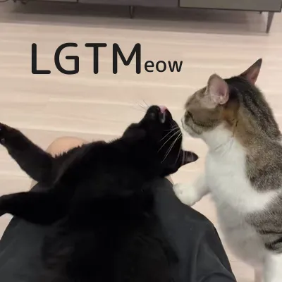 LGTM image
