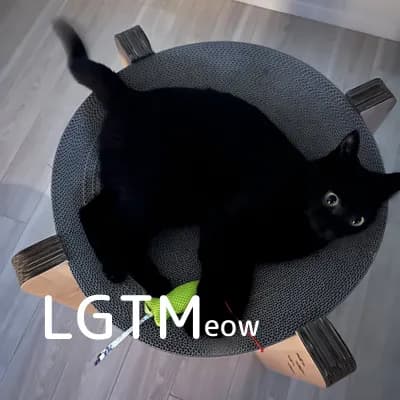 LGTM image