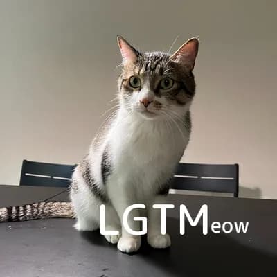 LGTM image