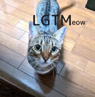 LGTM image