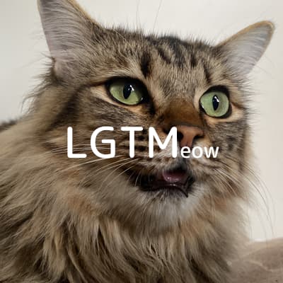 lgtm-cat-image