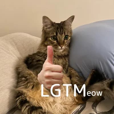 LGTM image