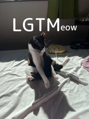 LGTM image
