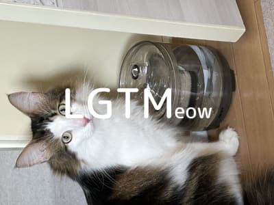lgtm-cat-image