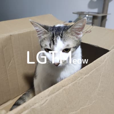 lgtm-cat-image