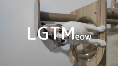 lgtm-cat-image