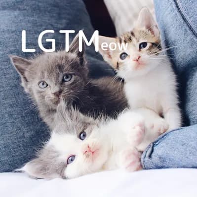 LGTM image